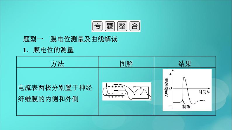 新高考适用2024版高考生物一轮总复习选择性必修1稳态与调节第8单元稳态与调节微专题膜电位的测量及电流表指针偏转问题课件第3页