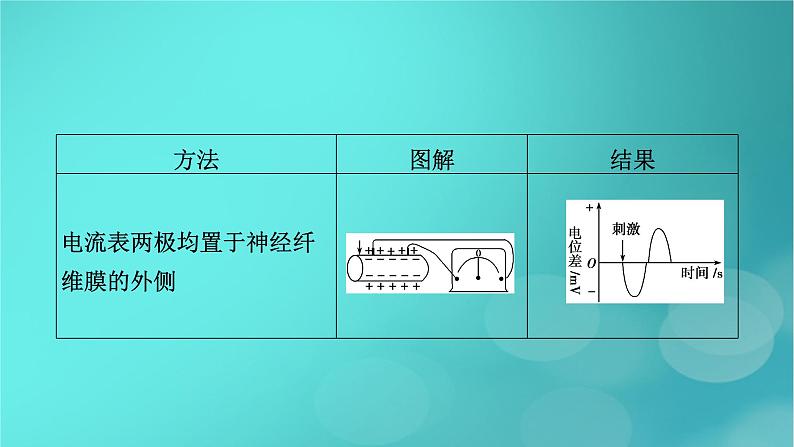 新高考适用2024版高考生物一轮总复习选择性必修1稳态与调节第8单元稳态与调节微专题膜电位的测量及电流表指针偏转问题课件第4页