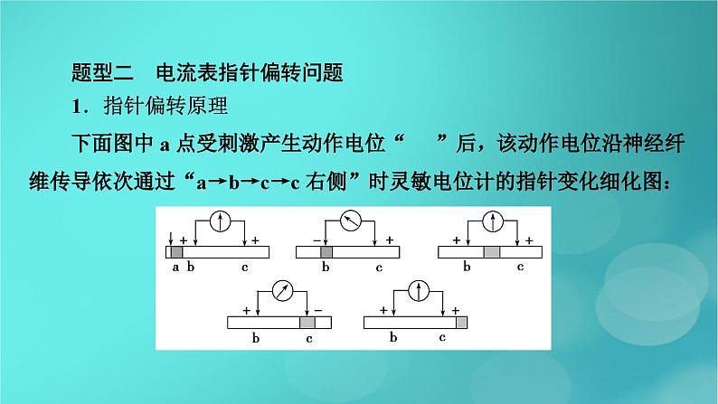 新高考适用2024版高考生物一轮总复习选择性必修1稳态与调节第8单元稳态与调节微专题膜电位的测量及电流表指针偏转问题课件第7页