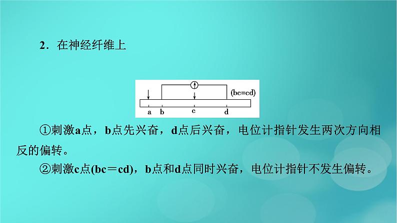 新高考适用2024版高考生物一轮总复习选择性必修1稳态与调节第8单元稳态与调节微专题膜电位的测量及电流表指针偏转问题课件第8页