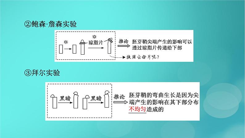 新高考适用2024版高考生物一轮总复习选择性必修1稳态与调节第8单元稳态与调节第6讲植物生命活动的调节课件08