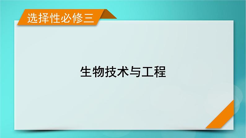 新高考适用2024版高考生物一轮总复习选择性必修3生物与技术第10单元生物技术与工程第1讲传统发酵技术的应用发酵工程及其应用课件第1页