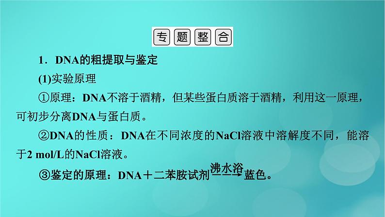 新高考适用2024版高考生物一轮总复习选择性必修3生物与技术第10单元生物技术与工程微专题DNA的粗提取与鉴定DNA片段的扩增及电泳鉴定课件03