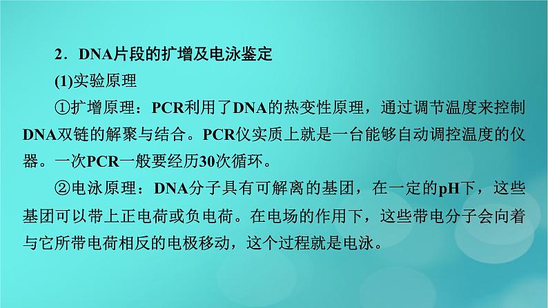 新高考适用2024版高考生物一轮总复习选择性必修3生物与技术第10单元生物技术与工程微专题DNA的粗提取与鉴定DNA片段的扩增及电泳鉴定课件07