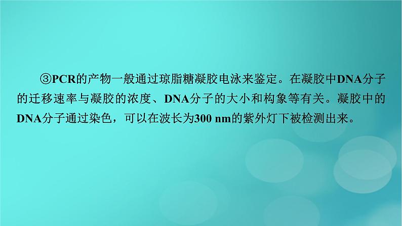 新高考适用2024版高考生物一轮总复习选择性必修3生物与技术第10单元生物技术与工程微专题DNA的粗提取与鉴定DNA片段的扩增及电泳鉴定课件08