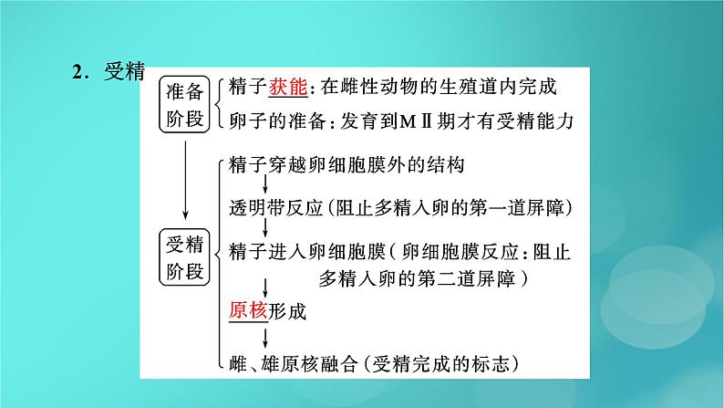 新高考适用2024版高考生物一轮总复习选择性必修3生物与技术第10单元生物技术与工程第4讲胚胎工程与生物技术的安全性和伦理问题课件第7页