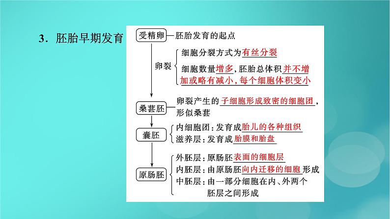 新高考适用2024版高考生物一轮总复习选择性必修3生物与技术第10单元生物技术与工程第4讲胚胎工程与生物技术的安全性和伦理问题课件第8页