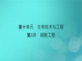 新高考适用2024版高考生物一轮总复习选择性必修3生物与技术第10单元生物技术与工程第3讲细胞工程课件