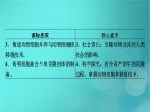 新高考适用2024版高考生物一轮总复习选择性必修3生物与技术第10单元生物技术与工程第3讲细胞工程课件