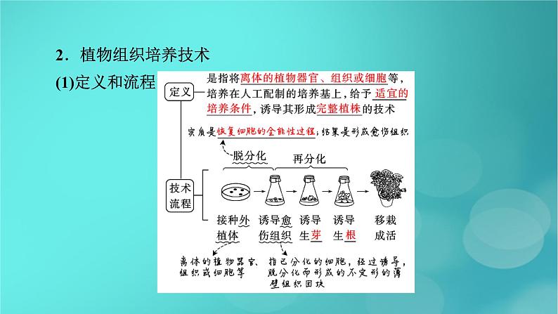 新高考适用2024版高考生物一轮总复习选择性必修3生物与技术第10单元生物技术与工程第3讲细胞工程课件08