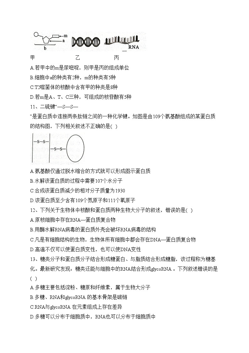河南省商丘市名校2022-2023学年高二下学期期末联考生物试卷（含答案）第3页