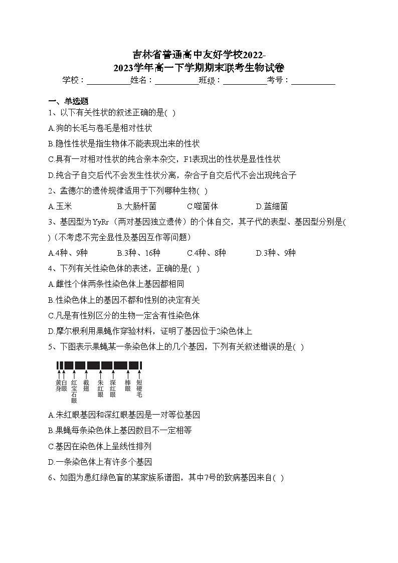 吉林省普通高中友好学校2022-2023学年高一下学期期末联考生物试卷（含答案）01