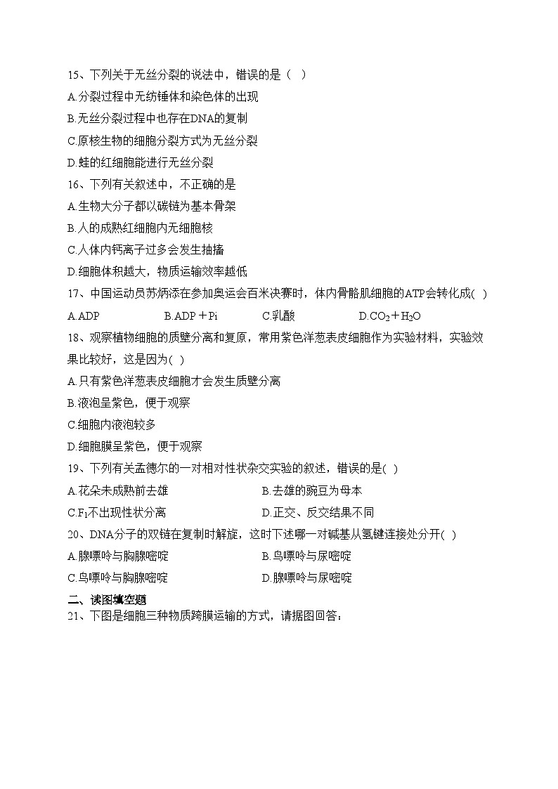 林芝市第二高级中学2022-2023学年高一下学期期末考试生物试卷（含答案）03