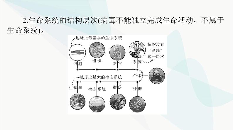 2024年高考生物一轮复习必修1第1章走近细胞课件第6页