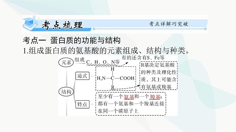 2024年高考生物一轮复习必修1第2章第4、5节蛋白质是生命活动的主要承担者、核酸是遗传信息的携带者课件02