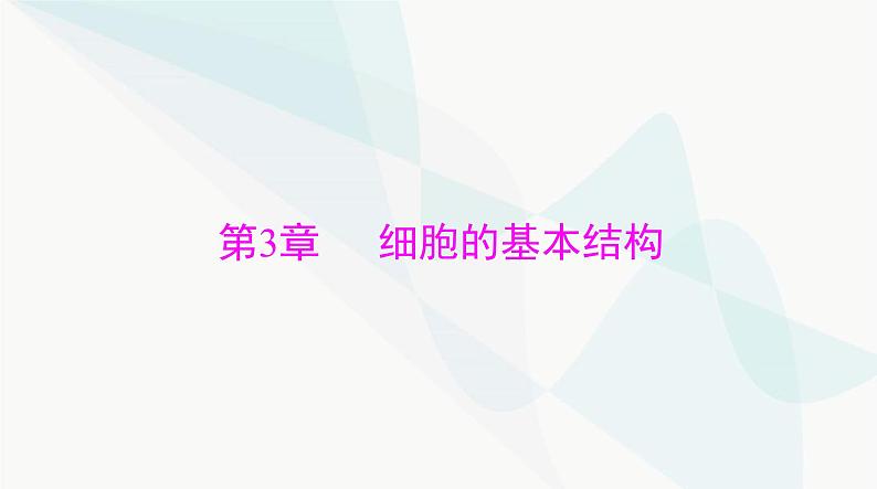 2024年高考生物一轮复习必修1第3章第1、3节细胞膜的结构和功能、细胞核的结构和功能课件01