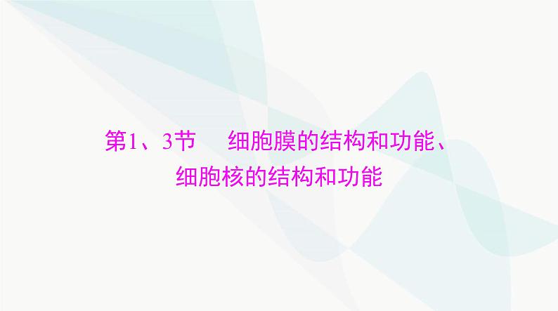 2024年高考生物一轮复习必修1第3章第1、3节细胞膜的结构和功能、细胞核的结构和功能课件03