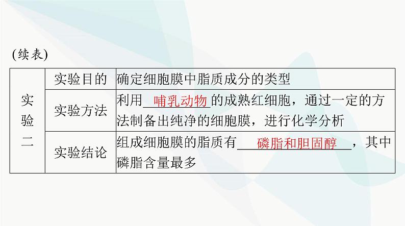 2024年高考生物一轮复习必修1第3章第1、3节细胞膜的结构和功能、细胞核的结构和功能课件06