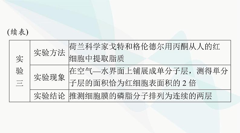 2024年高考生物一轮复习必修1第3章第1、3节细胞膜的结构和功能、细胞核的结构和功能课件07