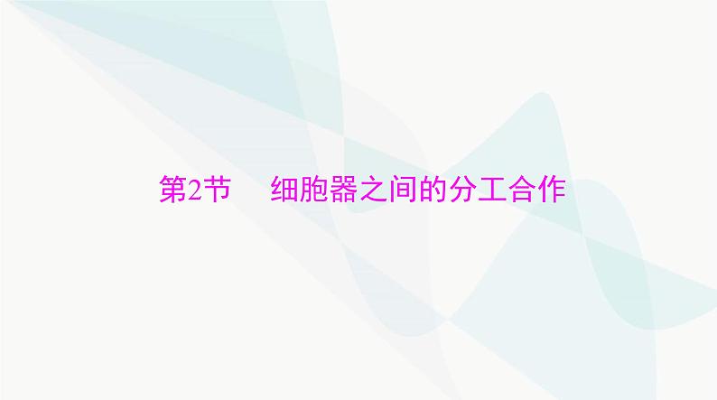 2024年高考生物一轮复习必修1第3章第2节细胞器之间的分工合作课件第1页