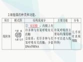 2024年高考生物一轮复习必修1第3章第2节细胞器之间的分工合作课件