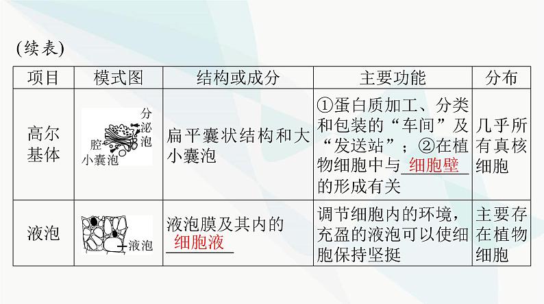 2024年高考生物一轮复习必修1第3章第2节细胞器之间的分工合作课件第6页