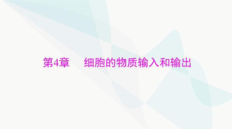 2024年高考生物一轮复习必修1第4章细胞的物质输入和输出课件第1页