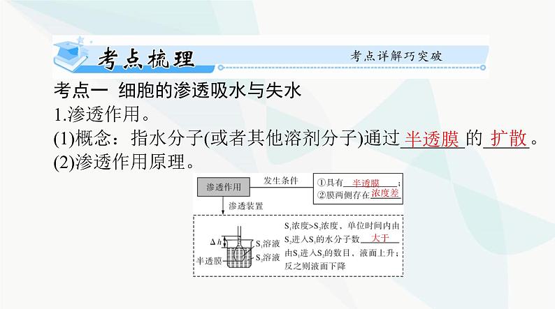 2024年高考生物一轮复习必修1第4章细胞的物质输入和输出课件第3页