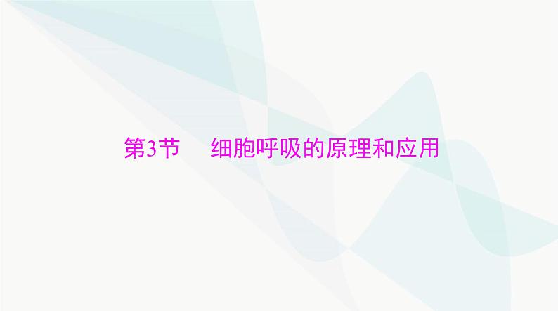 2024年高考生物一轮复习必修1第5章第3节细胞呼吸的原理和应用课件第1页