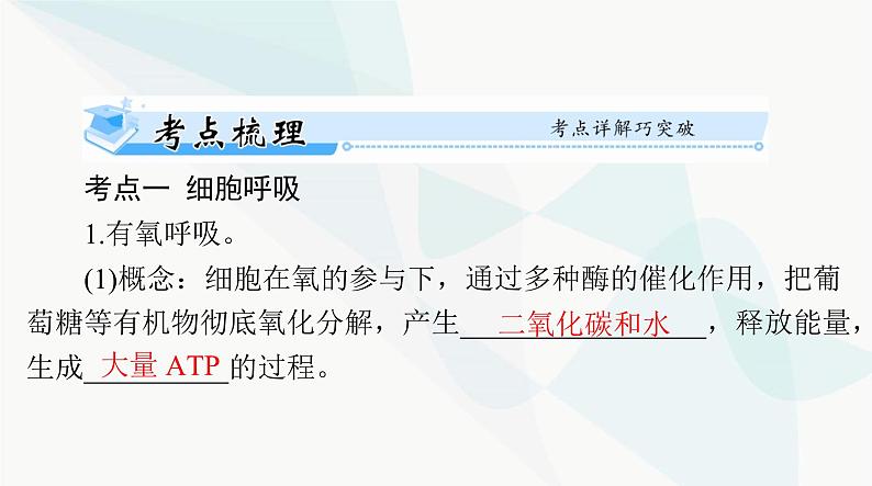 2024年高考生物一轮复习必修1第5章第3节细胞呼吸的原理和应用课件第2页