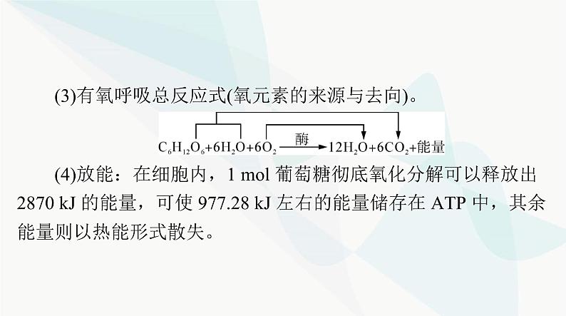 2024年高考生物一轮复习必修1第5章第3节细胞呼吸的原理和应用课件第4页