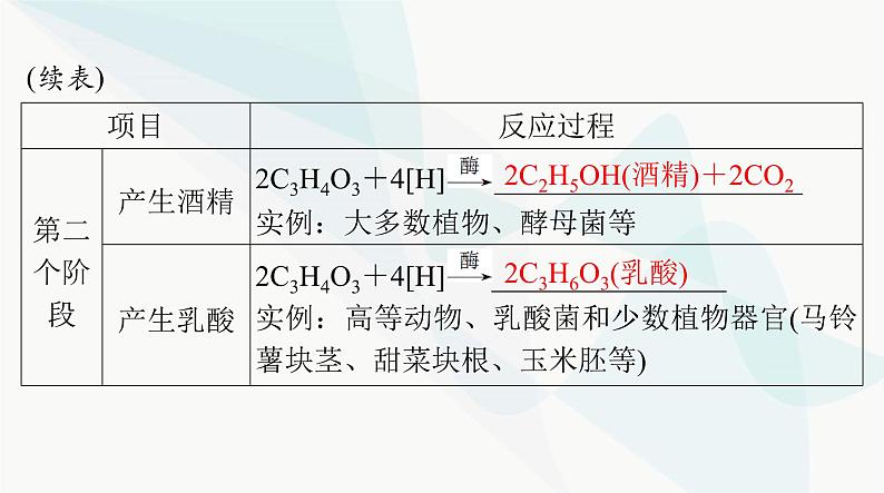 2024年高考生物一轮复习必修1第5章第3节细胞呼吸的原理和应用课件第6页