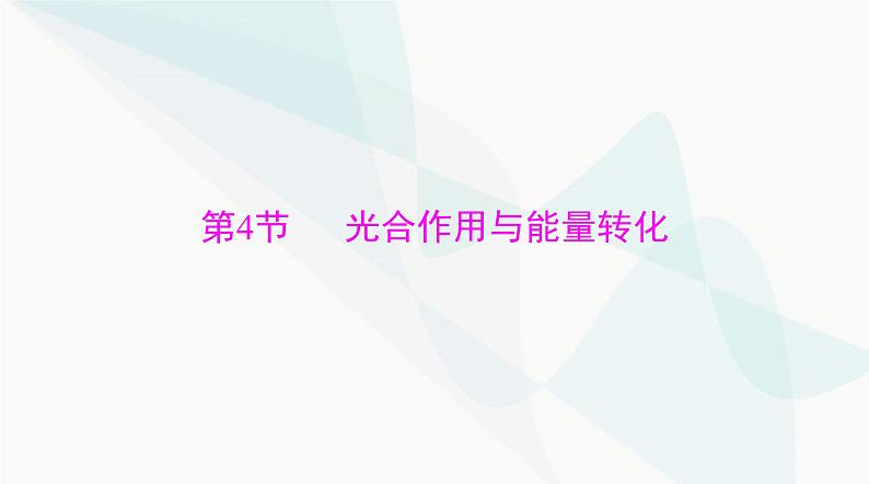 2024年高考生物一轮复习必修1第5章第4节光合作用与能量转化课件第1页