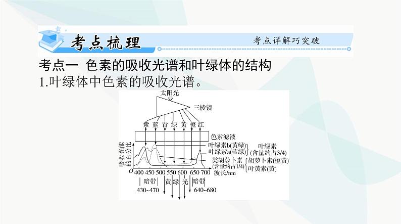 2024年高考生物一轮复习必修1第5章第4节光合作用与能量转化课件第2页