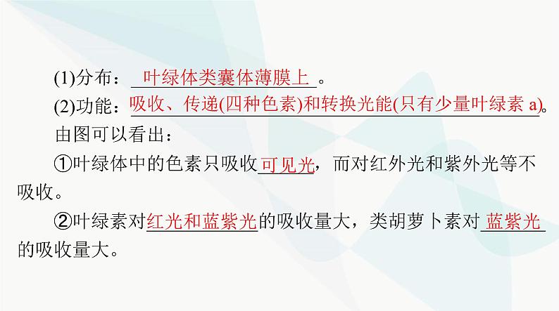 2024年高考生物一轮复习必修1第5章第4节光合作用与能量转化课件第3页