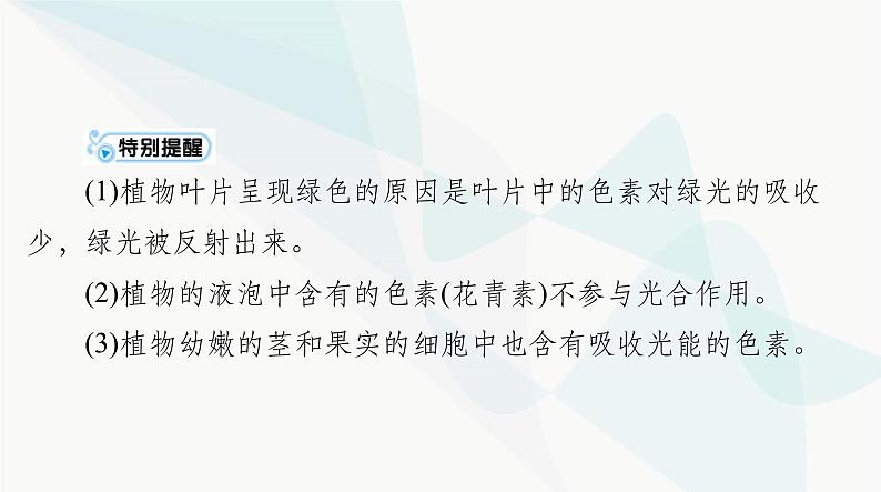 2024年高考生物一轮复习必修1第5章第4节光合作用与能量转化课件第4页