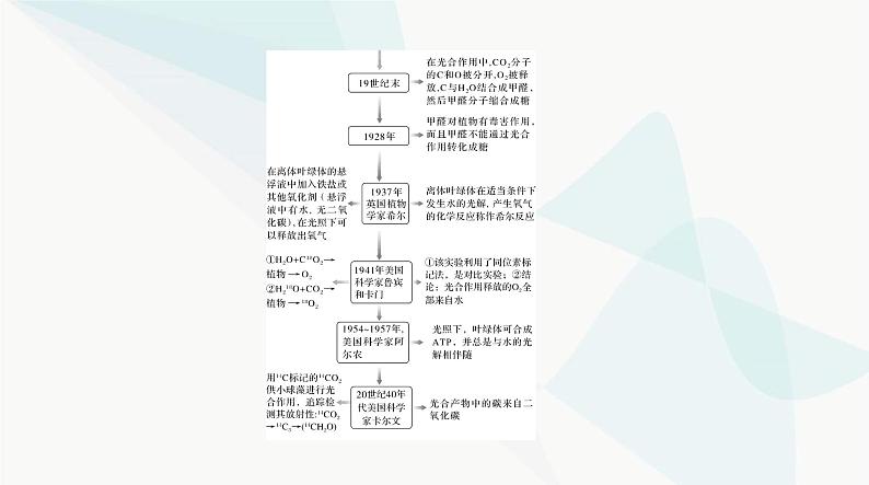 2024年高考生物一轮复习必修1第5章第4节光合作用与能量转化课件第7页