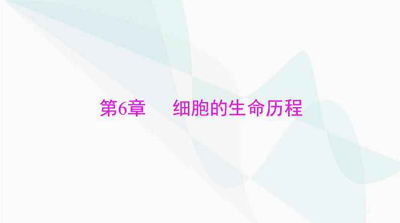 2024年高考生物一轮复习必修1第6章第1节细胞的增殖课件第1页