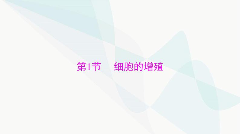 2024年高考生物一轮复习必修1第6章第1节细胞的增殖课件第3页