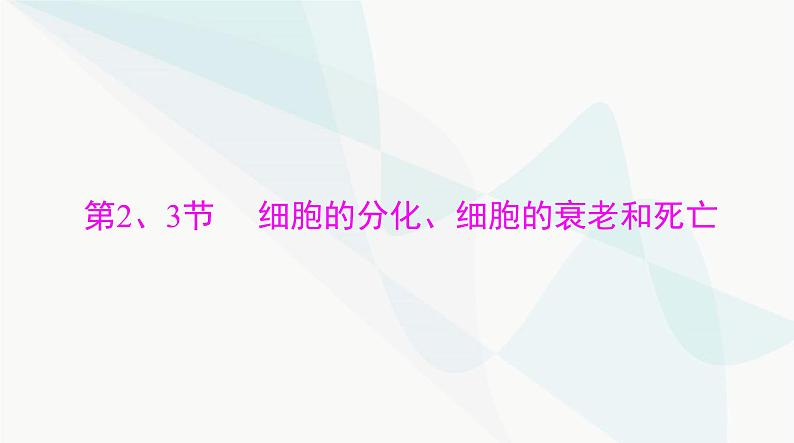 2024年高考生物一轮复习必修1第6章第2、3节细胞的分化、细胞的衰老和死亡课件第1页