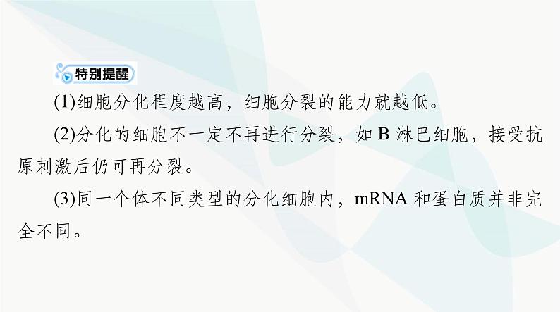 2024年高考生物一轮复习必修1第6章第2、3节细胞的分化、细胞的衰老和死亡课件第5页