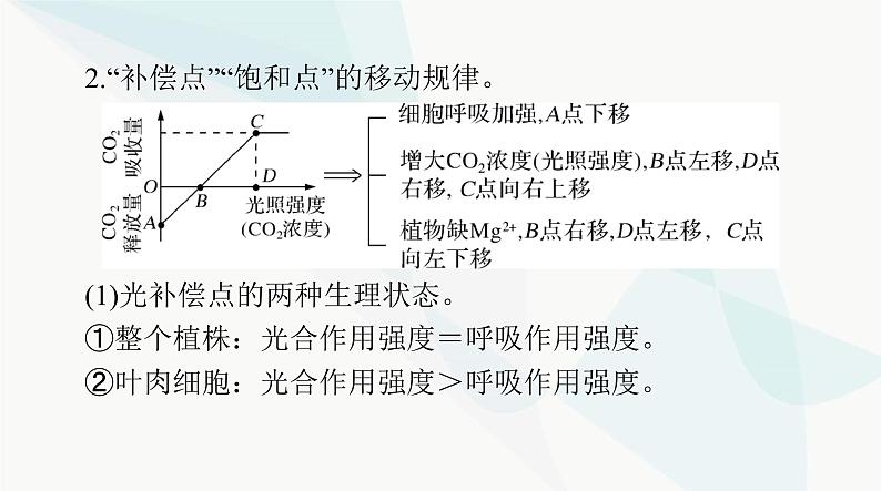 2024年高考生物一轮复习必修1小专题一光合作用和呼吸作用题型突破课件第3页