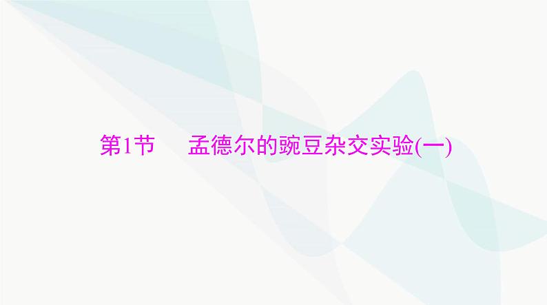 2024年高考生物一轮复习必修2第1章第1节孟德尔的豌豆杂交实验(一)课件第3页