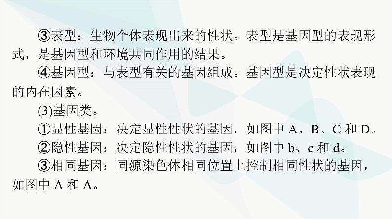 2024年高考生物一轮复习必修2第1章第1节孟德尔的豌豆杂交实验(一)课件第6页