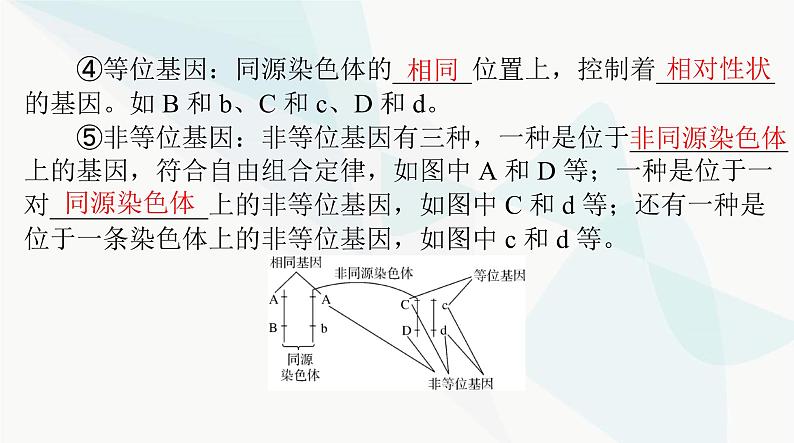 2024年高考生物一轮复习必修2第1章第1节孟德尔的豌豆杂交实验(一)课件第7页