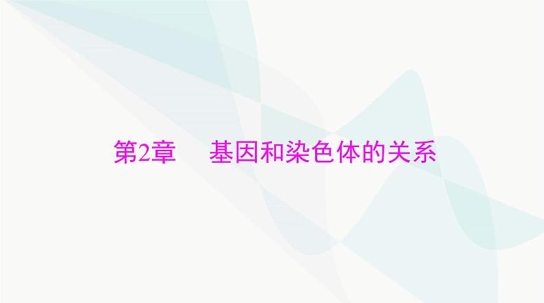 2024年高考生物一轮复习必修2第2章第1节减数分裂和受精作用课件第1页