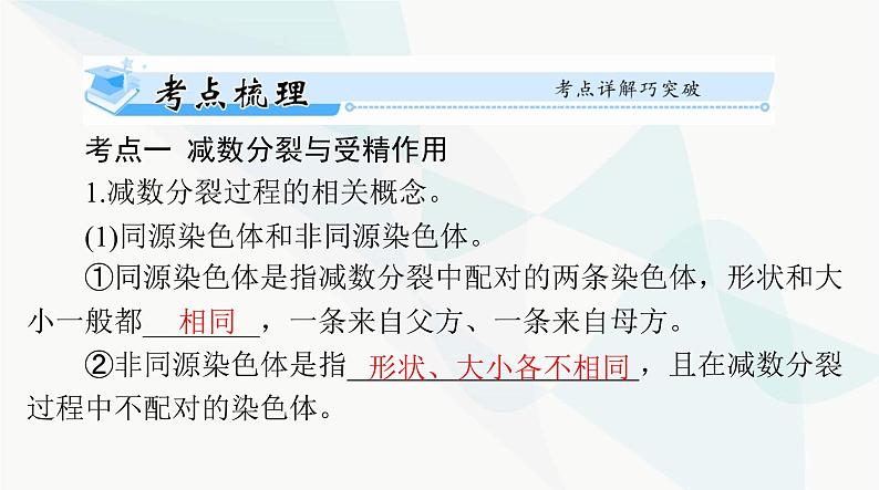 2024年高考生物一轮复习必修2第2章第1节减数分裂和受精作用课件第4页