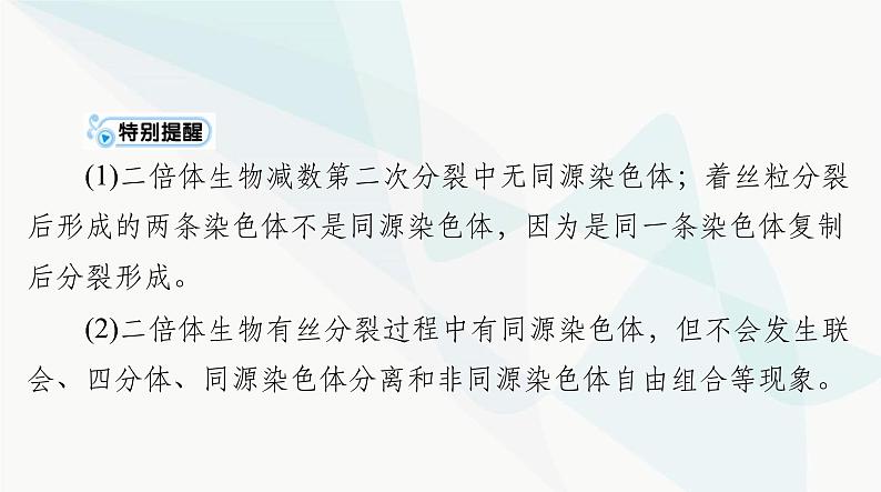 2024年高考生物一轮复习必修2第2章第1节减数分裂和受精作用课件第5页