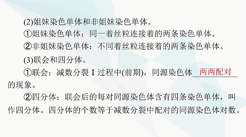 2024年高考生物一轮复习必修2第2章第1节减数分裂和受精作用课件第6页