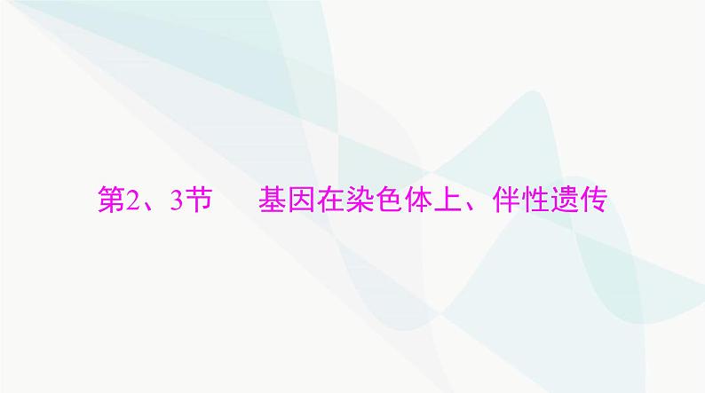 2024年高考生物一轮复习必修2第2章第2、3节基因在染色体上、伴性遗传课件第1页